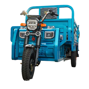 2025 Chine Offre Spéciale adulte électrique auto-décharge <span class=keywords><strong>moto</strong></span> à trois roues tricycle cargo à 3 roues Installation de batterie en option - Product Image 1