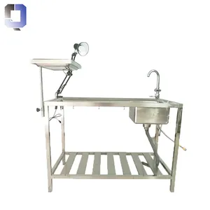 Mesa de JQ-DT01 de acero inoxidable para operaciones de cirugía, mesa de desinfección de animales, mortuario, anatomía del cuerpo