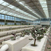 Système hydroponique horizontal NFT de haute productivité Starfarm, canal de culture galvanisé + PVC-U pour la culture des légumes