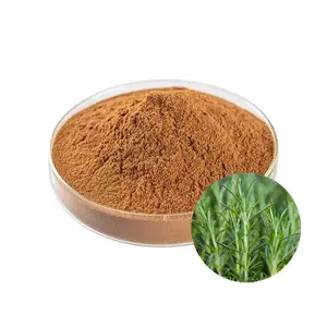 Natural Antioxidant Food Grade Rosemary Extract 10% Carnosic Acid for Meat Product