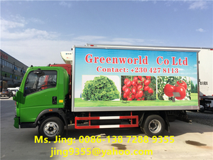 Vérin portable HOWO 5T 4x2, petit camion congélateur pour stockage froid à vendre en amusant - Product Image 4