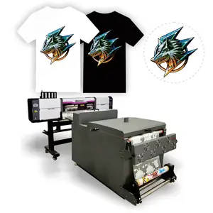 Hot PET Film I3200 DTF Printer 60cm Printing Machine and Powder Dyer Machine