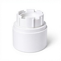 Adaptateur de nettoyage de tuyaux en PVC-U robuste DN50 à 160 mm, bouchon d'accès fileté pour inspection des égouts et drainage