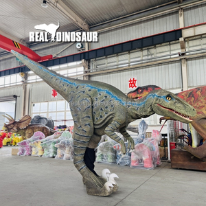 Costumes <span class=keywords><strong>d</strong></span>'Halloween professionnels fournis par l'usine : Dinosaures 3D réalistes pour enfants, parfaits pour les centres commerciaux et parcs <span class=keywords><strong>d</strong></span>'<span class=keywords><strong>aventure</strong></span> en intérieur/extérieur - Product Image 5
