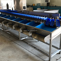 Multifunctionele groente- en weegsorteermachine, kleine visweegsorteermachine, industriële fruitsorteermachine te koop