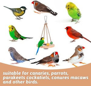 Small Rounded Wooden <strong>Bird</strong> <strong>Toys</strong> Hanging Stainless Steel <strong>Bird</strong> Feeder Swing Feeding Cup Stand Board Water Bottle <strong>Bird</strong> Bowls House - Product Image 3