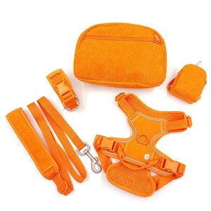 <span class=keywords><strong>5</strong></span> <span class=keywords><strong>in</strong></span> <span class=keywords><strong>1</strong></span> reflektif Pet <span class=keywords><strong>Harness</strong></span> Set S-XL bernapas dan nyaman gaya modis nilon kain bahan untuk berjalan aksesoris - Product Image 2