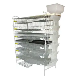 2021new design factory wholesale poultry battery cage layer quail cage for sale
