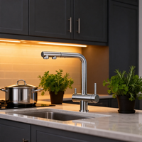 Nouvelle Meilleure Vente 2026 Robinet de Cuisine Mélangeur Extensible 4 Voies en Acier Inoxydable 304, Eau Chaude et Froide Filtrée, à Poser sur Plan