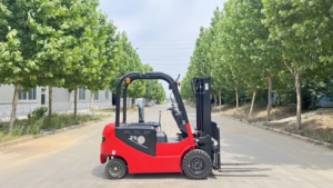 סין חדש מותג mightyמטען חשמלי באיכות גבוהה 2t 2.5t 3t 3.5t <span class=keywords><strong>4t</strong></span> מלגזה חשמלי מחיר נמוך 2.5t - Product Image 5