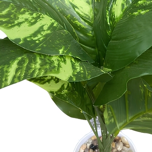 Hojas de Magnolia <span class=keywords><strong>Grandiflora</strong></span> de Plástico - Alta Simulación de Hojas Perennes para Decoración de Bodas, Navidad y Año Nuevo Chino - Product Image 5