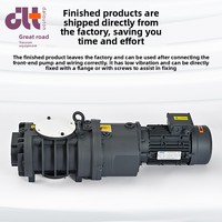 Bomba de Vacío Industrial de Baja Presión DLT.LC500 Iron Roots, 500 m³/h, 3 HP, Motor Trifásico, Directo de Fábrica, OEM, 1 Año de Garantía