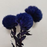 Bahan Bunga Dianthus Awetan Grosir untuk Florist, Buket Pernikahan, Rangkaian Bunga, Kerajinan DIY