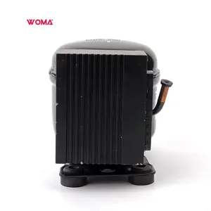 WOMA R134a ZH25G de energía solar congelador mini nevera DC motor de compresor refrigerador para portátil coche nevera compresor