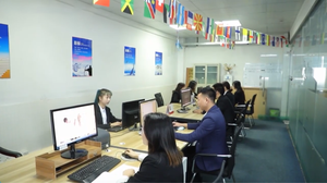 Стильные товары 2024 садовые ножницы Бонсай инструменты - Product Image 6