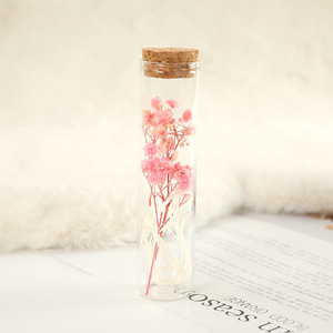 Mini flacon en verre en gros pour spécimens de roses séchées et gypsophile préservée, bouteille à vœux décorative, cadeau de Saint-Valentin - Product Image 5