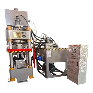Machine de moulage de presse de poudre de presse de limes de fer de Cnc de nouveau Design Y-315