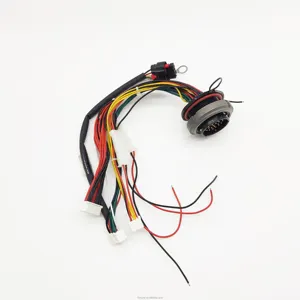 Customized Automotive Wire OEM ODM Wiring Harness