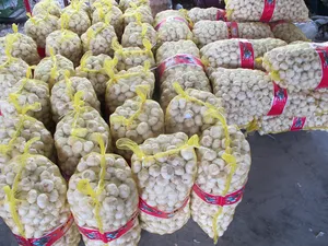 Neuer Knoblauch 2024 China Preis Großhandel kaufen im Großhandel 40 Fuß Container