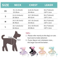 Set Guinzaglio e Pettorina Anti-Trazione per Cani, Gilet Traspirante in Rete a Y, Regolabile, in Nylon Stampato, con Anello a D in Lega, per Cani di Piccola Taglia XS-L, Ingrosso OEM