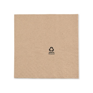 Servilletas de Papel Ecológicas, 33x33cm, 2 Capas, Plegado 1/4, Sin Blanquear, Desechables y Ecológicas - Product Image 6