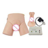 DARHMMY Modelo de Entrenamiento de Cateterización Electrónica con Partes Genitales Masculinas y Femeninas Intercambiables