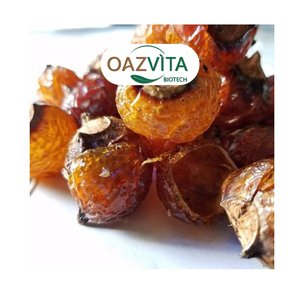 Bán buôn <span class=keywords><strong>soapnuts</strong></span>/xà phòng Hữu Cơ Nuts với giá tốt nhất - Product Image 4