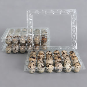 ถาดใส่ไข่30ฟองสำหรับสัตว์เลี้ยงถาดพลาสติกใสแบบใช้แล้วทิ้งถาดใส่ไข่นกกระทาสำหรับใส่ไข่30ฟอง - Product Image 6