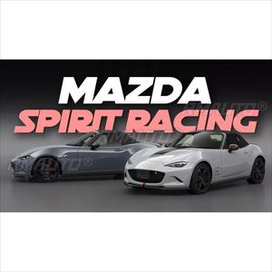 Tiras Decorativas para Maletero Trasero de Coche, Kit de Carrocería, Adhesivo Trasero para Mazda MX5, Estilo Racing Spirit, Pieza Exterior para Mazda 3 - Product Image 6