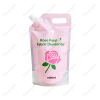Sacs d'emballage de savon liquide en plastique biodégradable de 500ml 1L 2L imprimés sur mesure pochette à bec debout avec buse