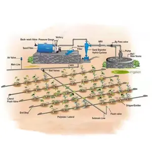 Agrarische Boomgaard Groenteplant Sprinkler Irrigatie Waterbesparend Systeem Landbouwkas Irrigatiesysteem