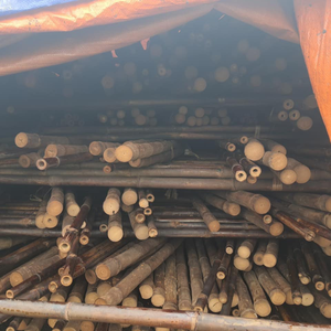 Bâtonnets de matières premières agricoles en bambou pour le jardin et les légumes - Product Image 1