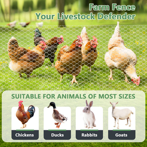 23GA 24INX50FT Malla metálica galvanizada hexagonal para aves de corral - Product Image 2