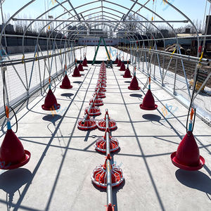 Kandang ayam seluler baru untuk peralatan peternakan garansi satu tahun - Product Image 5