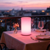 Lampe de table LED cylindrique à piles télécommandée, décoration moderne personnalisée, veilleuse