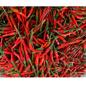 Chili fresco Precio bajo Chile rojo Vietnam Especias Pimienta roja Agrícola Hecho en vietnamita Venta al por mayor - Product Image 5