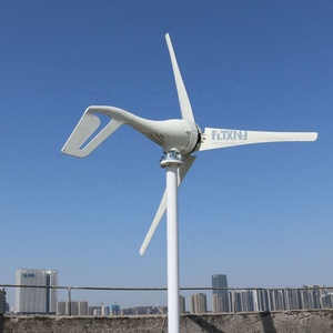 Générateur éolien horizontal 600W pour usage domestique, à faible vitesse de vent, 12V 24V avec contrôleur, fabriqué en Chine - Product Image 5