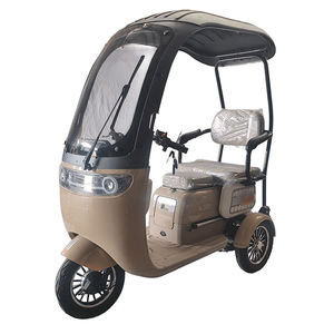 Urban Transportation's Low-Cost Vehicles for Passengers Leisure Carbon Steel Frame 3-Speed Gears Lead-Acid Battery - Product Image 4