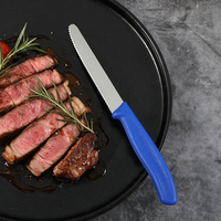 Lot de 6 couteaux à steak en acier inoxydable 3Cr13 de 4,5 pouces avec manche en PP bleu, anti-rouille, tranchants, pour cuisine et table