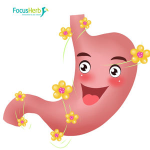 FocusHerb pigmento natural Monascus rojo 10:1 extracto de arroz de levadura roja - Product Image 3