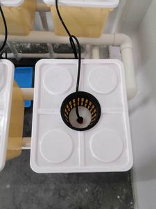 Bac hydroponique de plantation intérieure, r 2020, meilleur système néerlandais pour ketchettes - Product Image 2