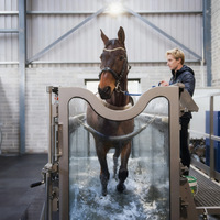 Tapis roulant aquatique professionnel Bigol pour chevaux, pour la rééducation, l'entraînement, la course, les soins et l'utilisation équestre, avec bain de massage santé
