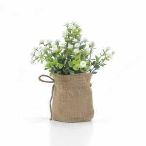 Feuilles d'eucalyptus <span class=keywords><strong>de</strong></span> haute qualité, souffle <span class=keywords><strong>de</strong></span> bébé, dans un sac en <span class=keywords><strong>toile</strong></span> <span class=keywords><strong>de</strong></span> <span class=keywords><strong>jute</strong></span>, plantes en pot à feuilles persistantes pour la décoration intérieure <span class=keywords><strong>de</strong></span> bureau - Product Image 5