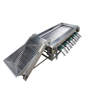 Machine de tri rotative commerciale pour fruits et légumes secs (pommes, figues, kiwis, prunes, fruits du dragon) - Product Image 4