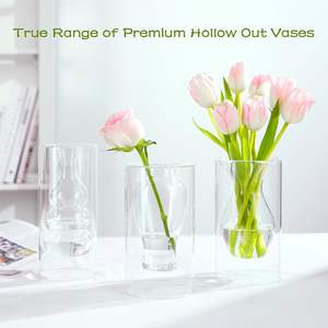 Colourful <strong>Glass</strong> Transparent Vase Living Room Dining Table Dried Flowers Hydroponic Vases - Product Image 5