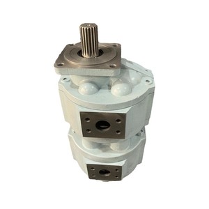 Bomba de Engranajes de Refuerzo Sichuan Changjiang Modelo CBY2010-1TR CBY2025-1FR CBY2032/2016/2040 Nueva Condición - Product Image 1