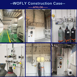 Pannello personalizzato collettore regolatore di pressione per azoto Argon aria ossigeno elio CO2 ingresso 6000psi sbocco 160psi <span class=keywords><strong>SS316</strong></span> - Product Image 6