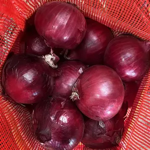 2023 New Crop Fresh Onions Red Yellow White Not Indian Onion Peeled and Bagged Direct from China at Competitive Prices for Egypt