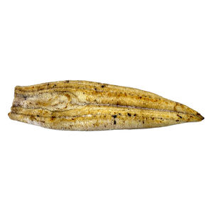 Filete de Anguila Kagoshima Conger marca OSAKI 200g envasado al vacío congelado directo de Japón para asar y cocinar al vapor - Product Image 1