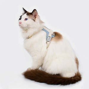 Nouveautés <span class=keywords><strong>Harnais</strong></span> de poitrine confortable <span class=keywords><strong>anti</strong></span>-dérapant pour petit <span class=keywords><strong>chien</strong></span> et chat Corde de <span class=keywords><strong>traction</strong></span> Collier pour animal de compagnie <span class=keywords><strong>Harnais</strong></span> pour petit <span class=keywords><strong>chien</strong></span> - Product Image 4